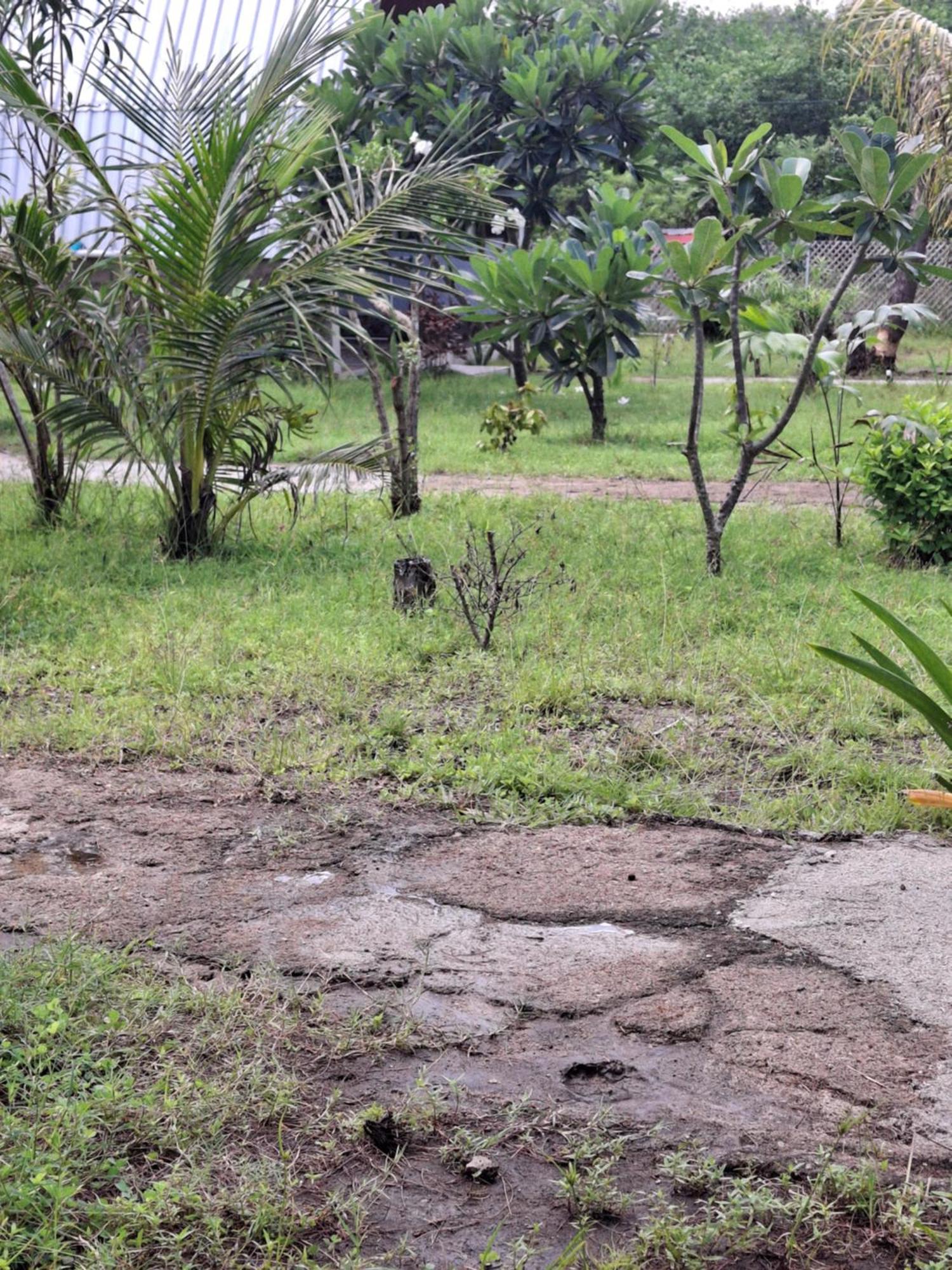 Cnunk Bungalow Gili Meno Exterior photo